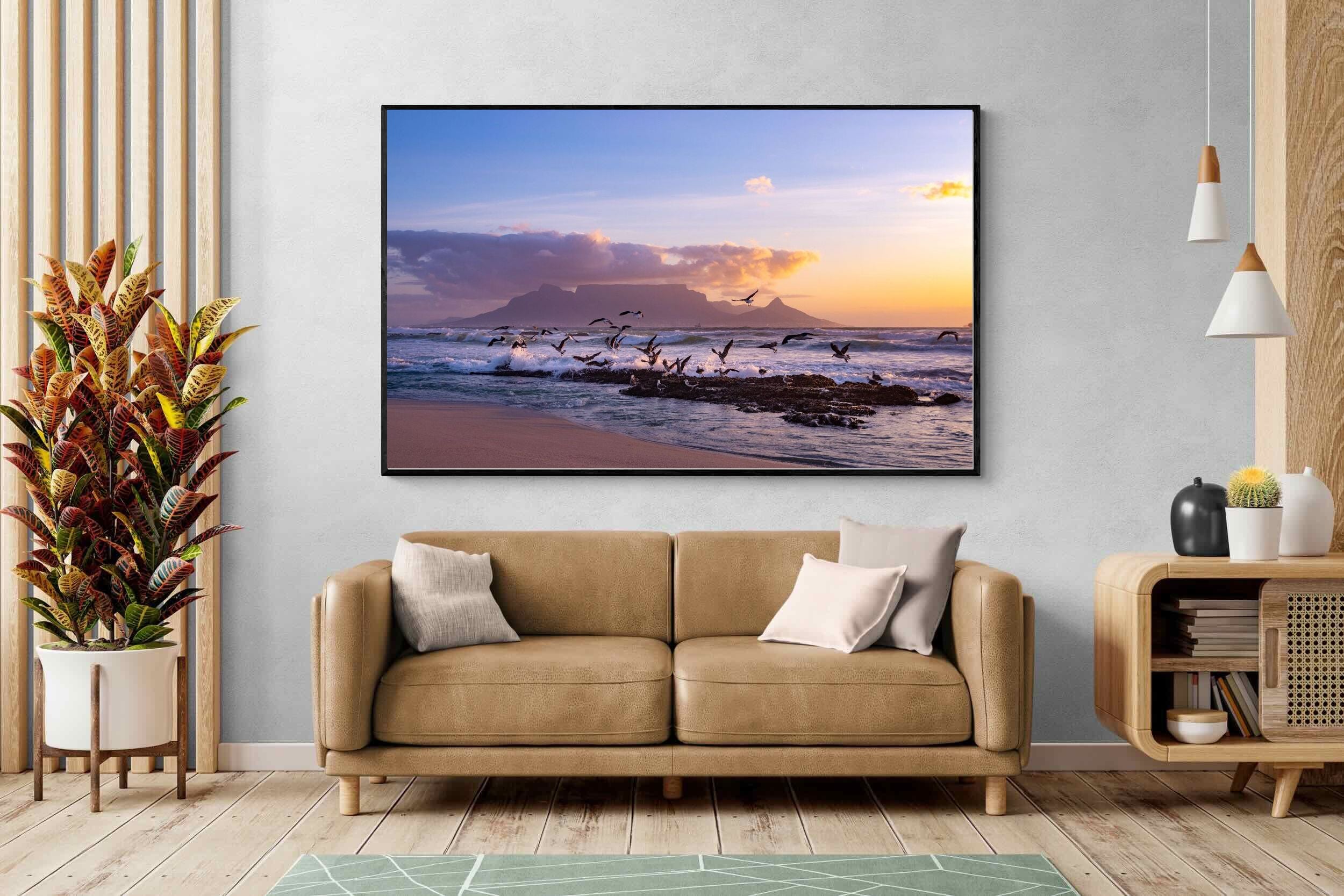 Pixalot Table Mountain Gulls