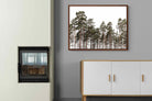 Pixalot ® Tall Pines