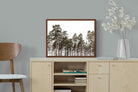 Pixalot ® Tall Pines