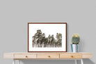 Pixalot ® Tall Pines