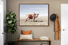 Pixalot ® Tan Nguni