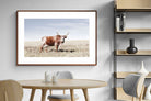 Pixalot ® Tan Nguni