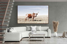 Pixalot ® Tan Nguni