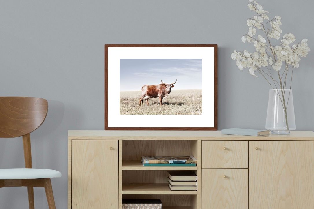 Pixalot ® Tan Nguni