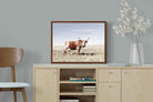 Pixalot ® Tan Nguni