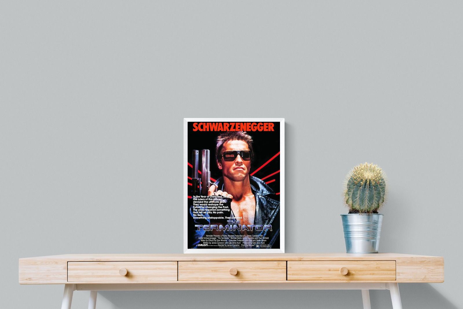 Pixalot Terminator