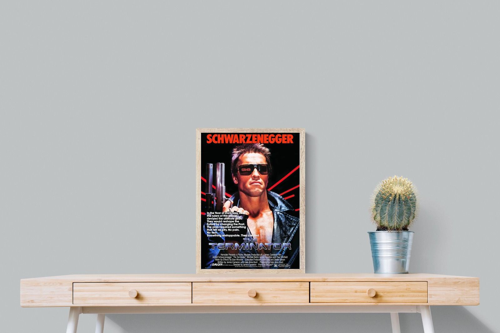 Pixalot Terminator