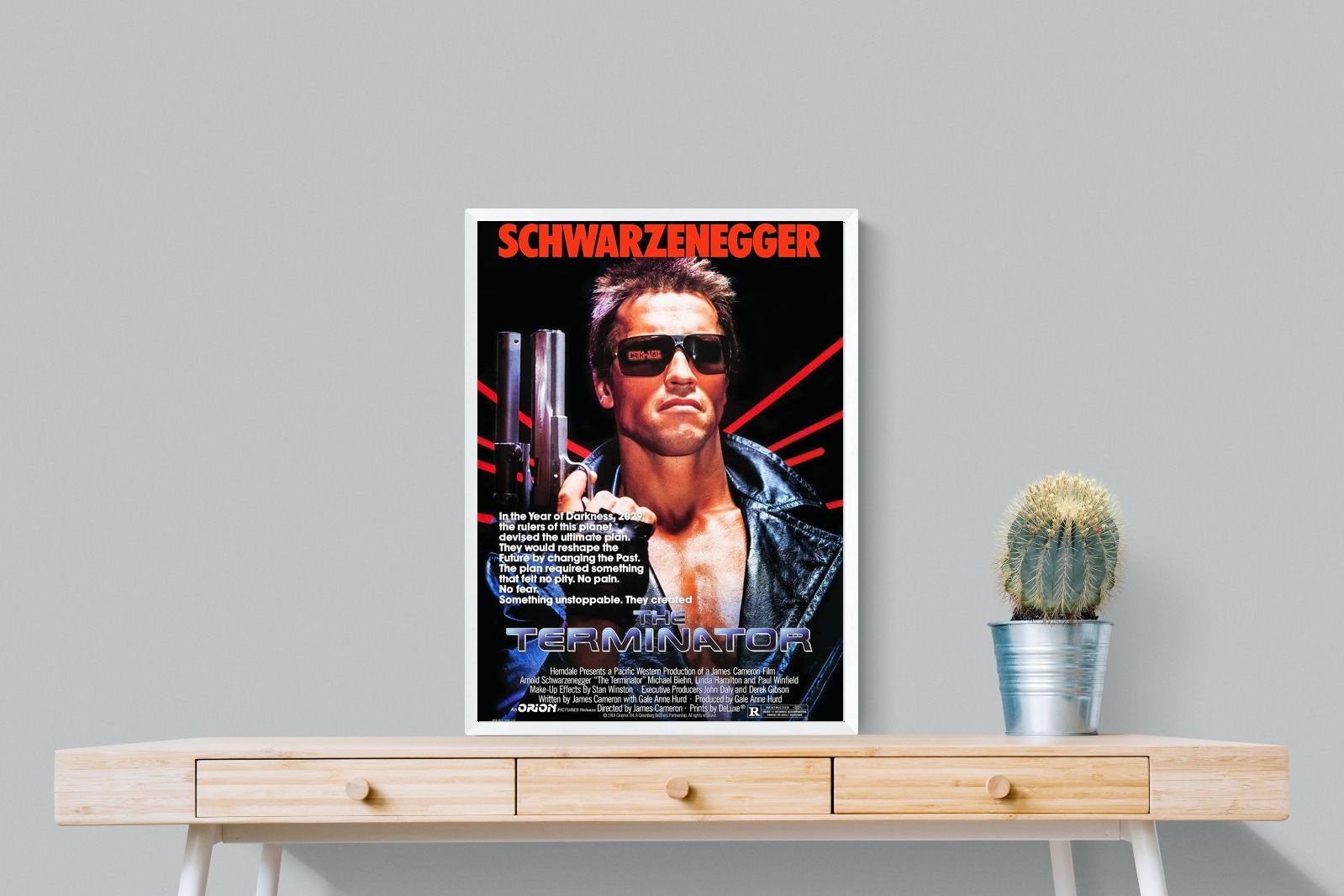 Pixalot Terminator