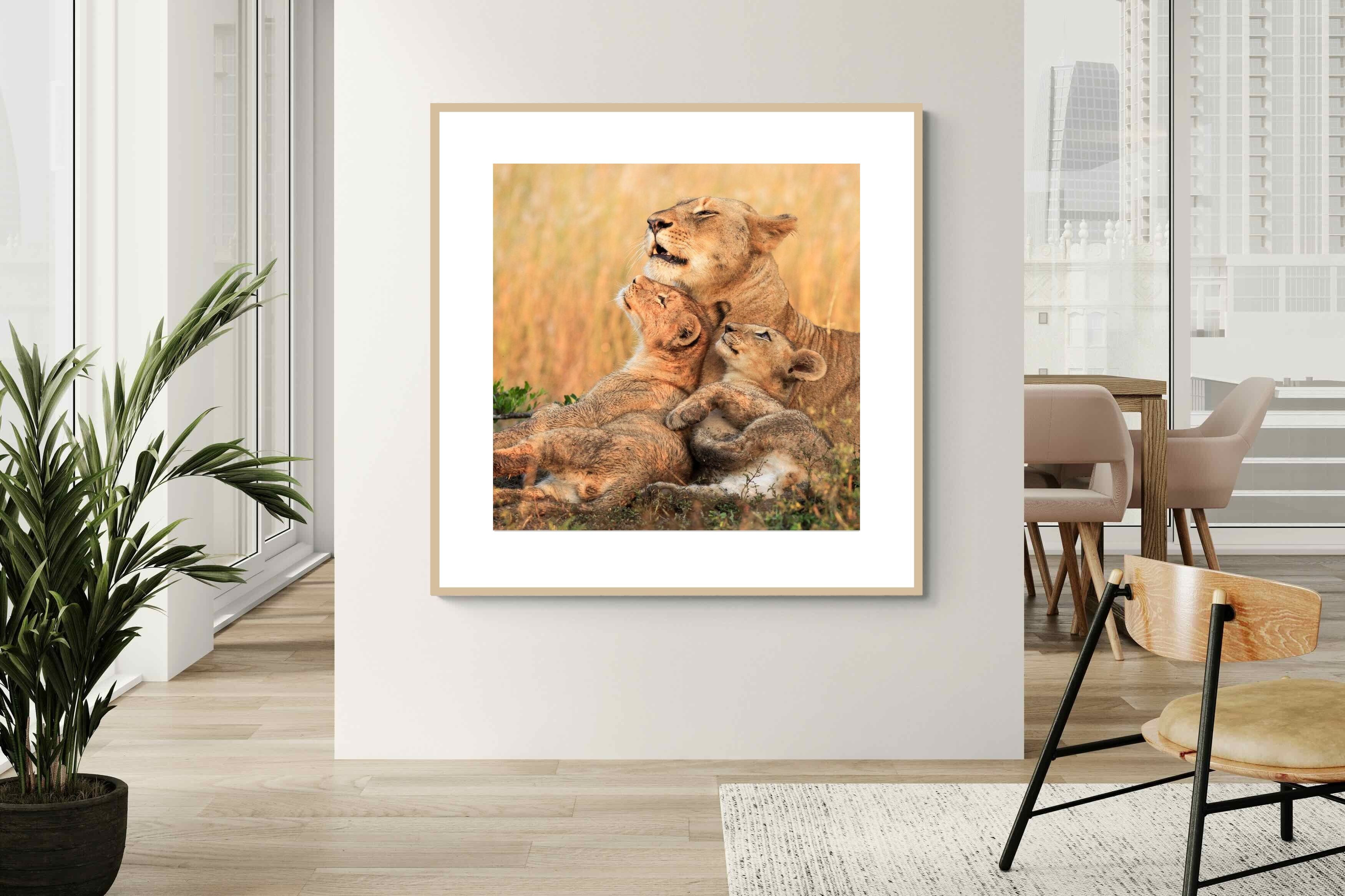 Pixalot Lioness Embrace