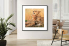Pixalot Lioness Embrace