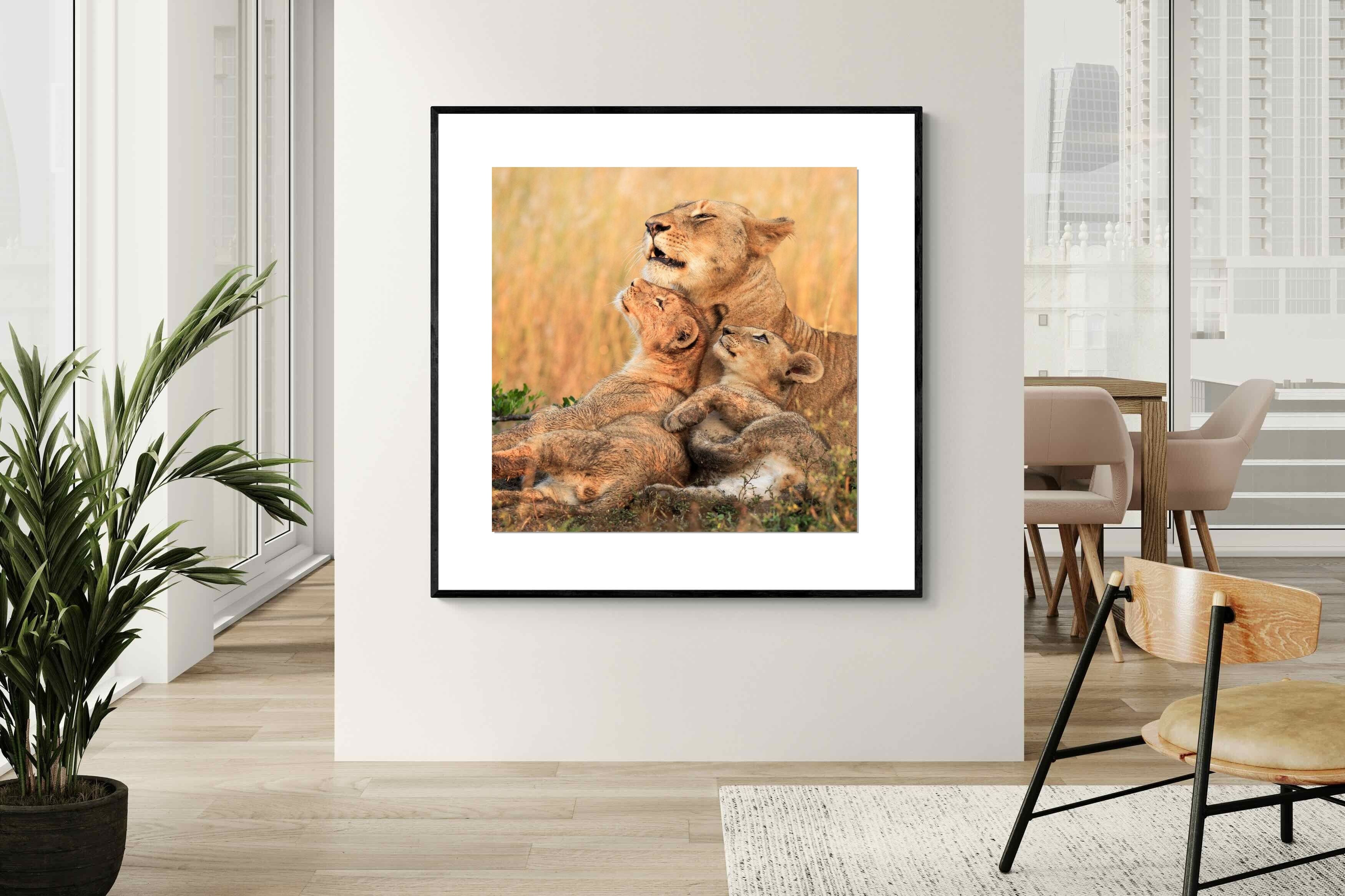 Pixalot Lioness Embrace