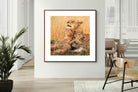 Pixalot Lioness Embrace