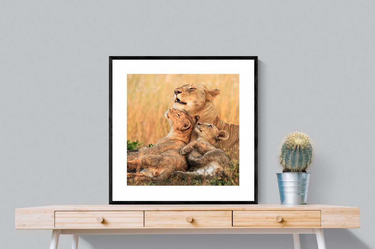 Pixalot Lioness Embrace