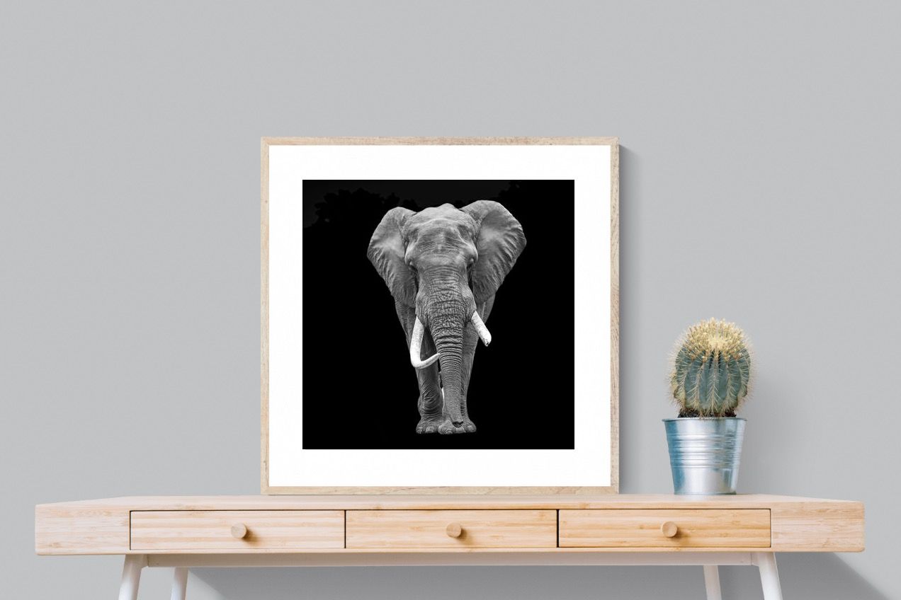 Pixalot ® The Giant