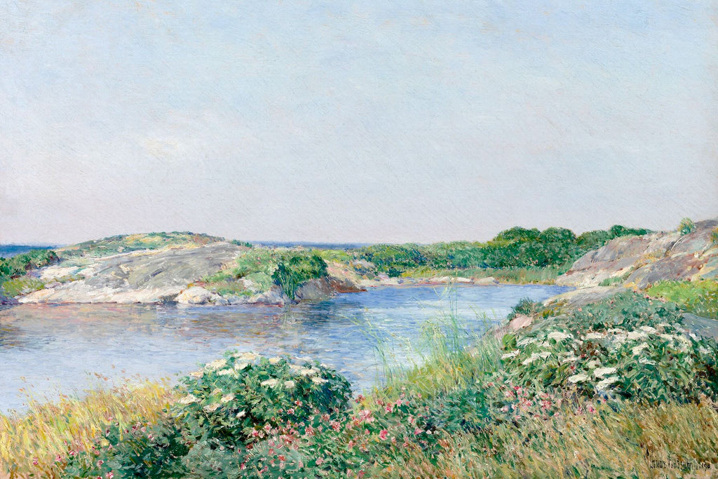 The Little Pond