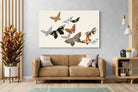 Pixalot Thousand Butterflies