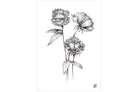 Three Peonies-Wall_Art-Pixalot