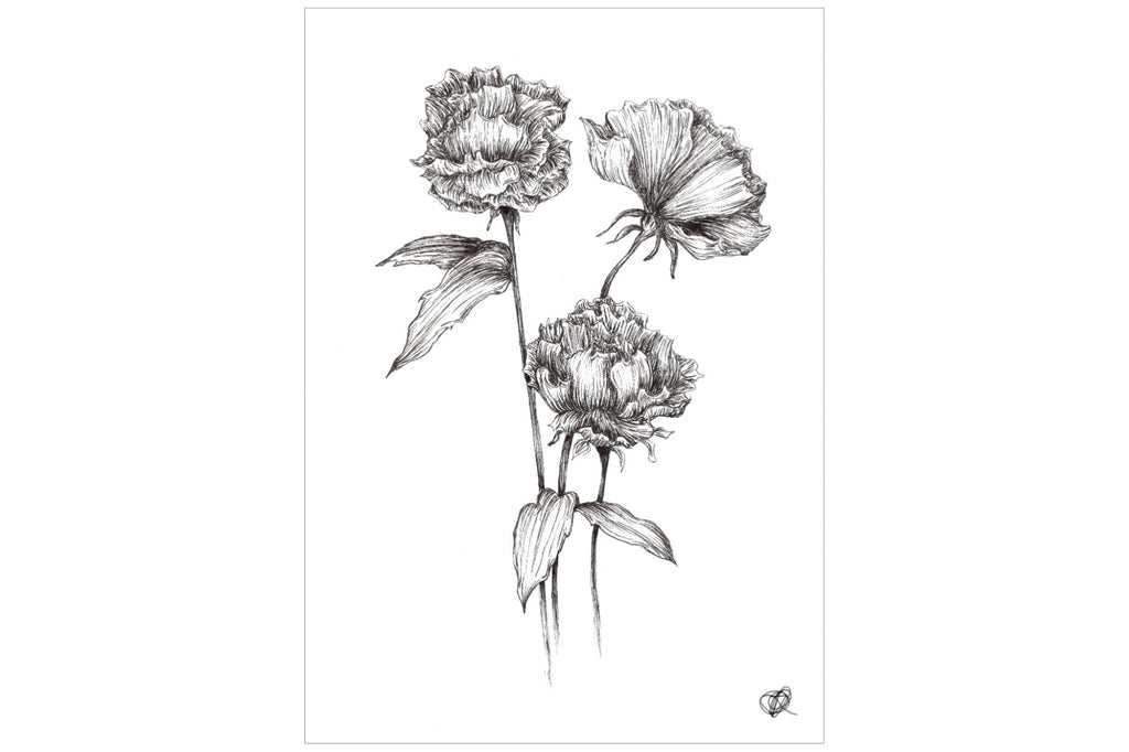 Three Peonies-Wall_Art-Pixalot