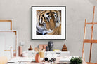 Pixalot Tiger Portrait