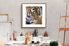 Pixalot Tiger Portrait