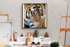 Pixalot Tiger Portrait