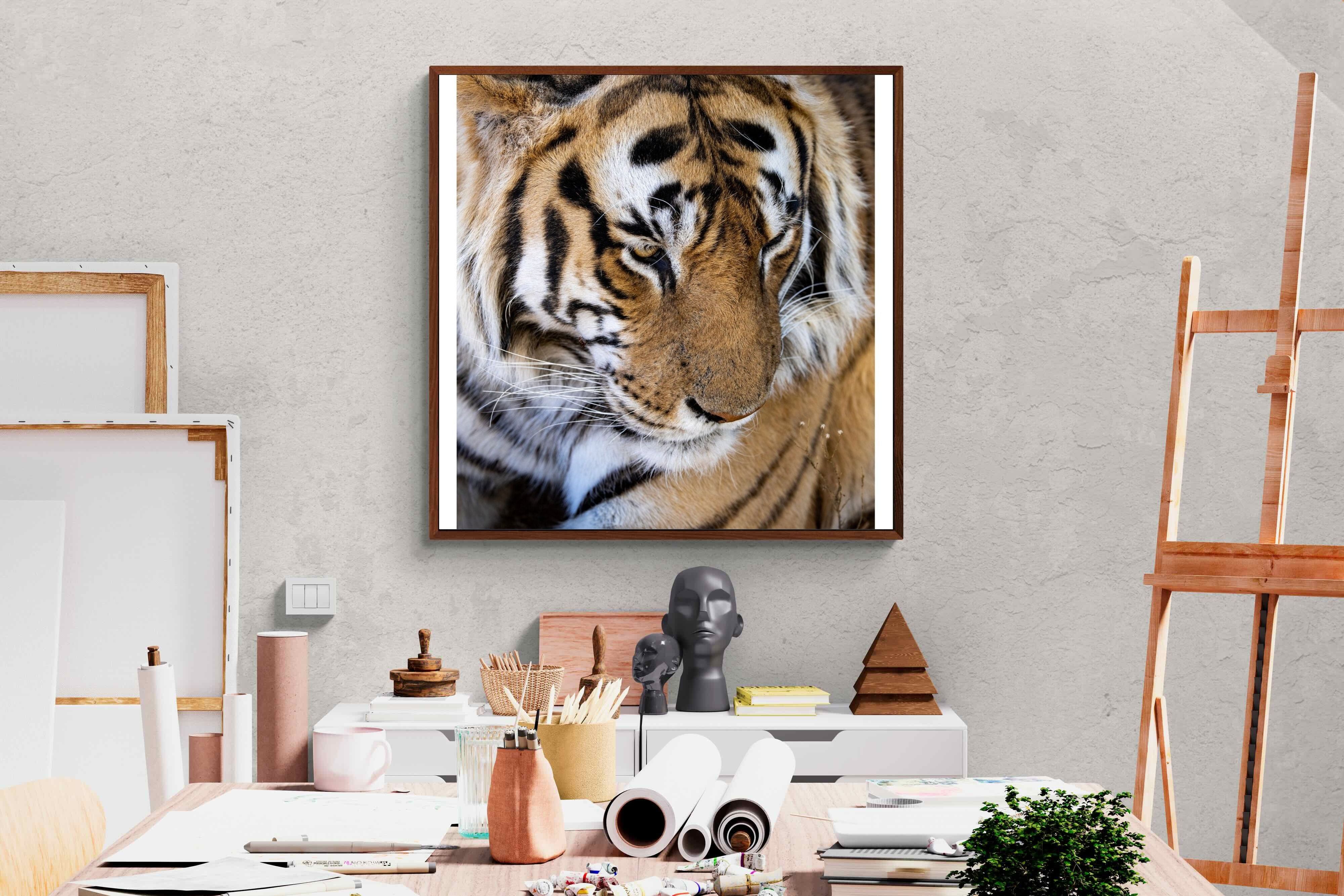 Pixalot Tiger Portrait
