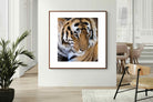 Pixalot Tiger Portrait