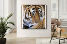 Pixalot Tiger Portrait