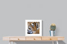 Pixalot Tiger Portrait
