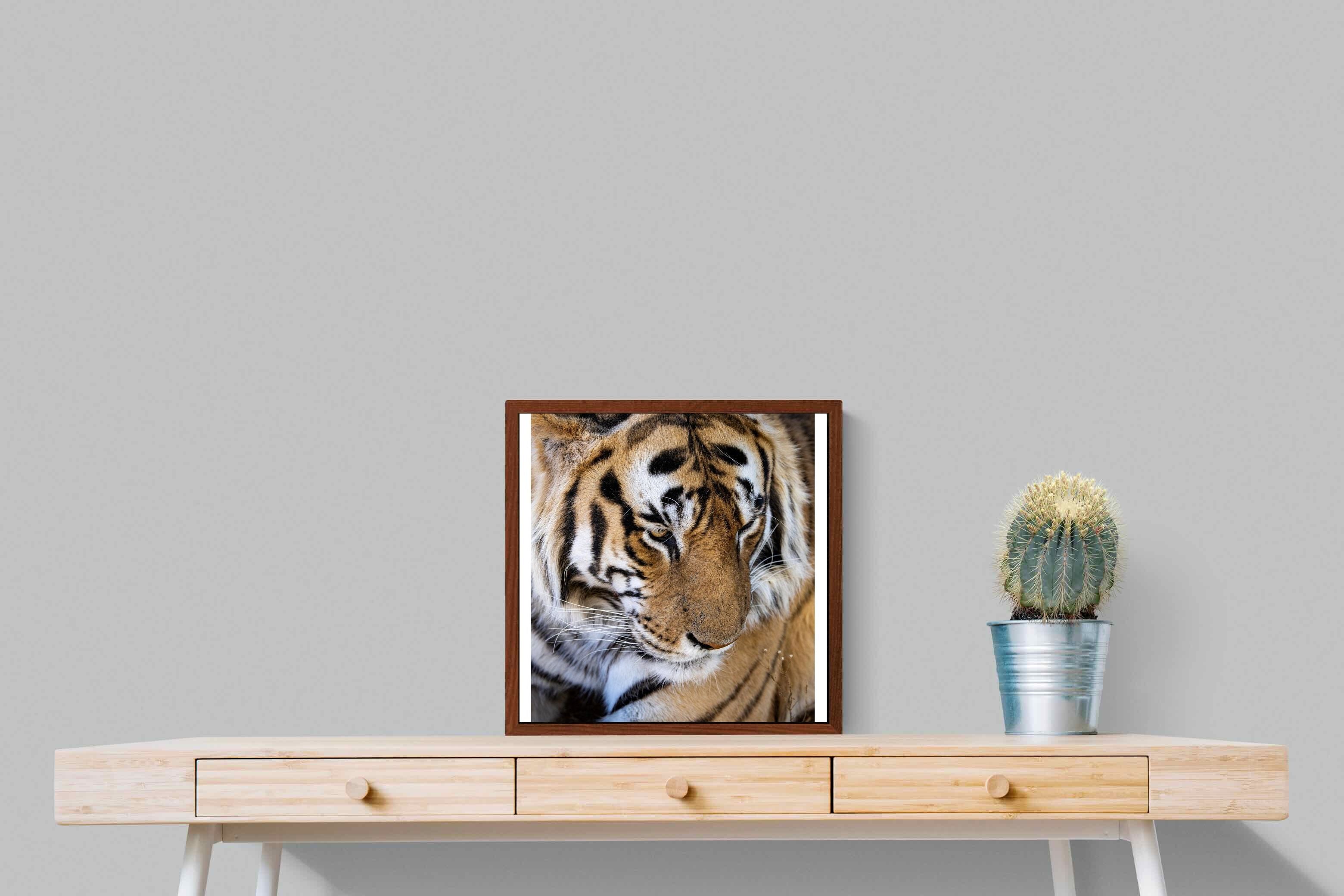 Pixalot Tiger Portrait