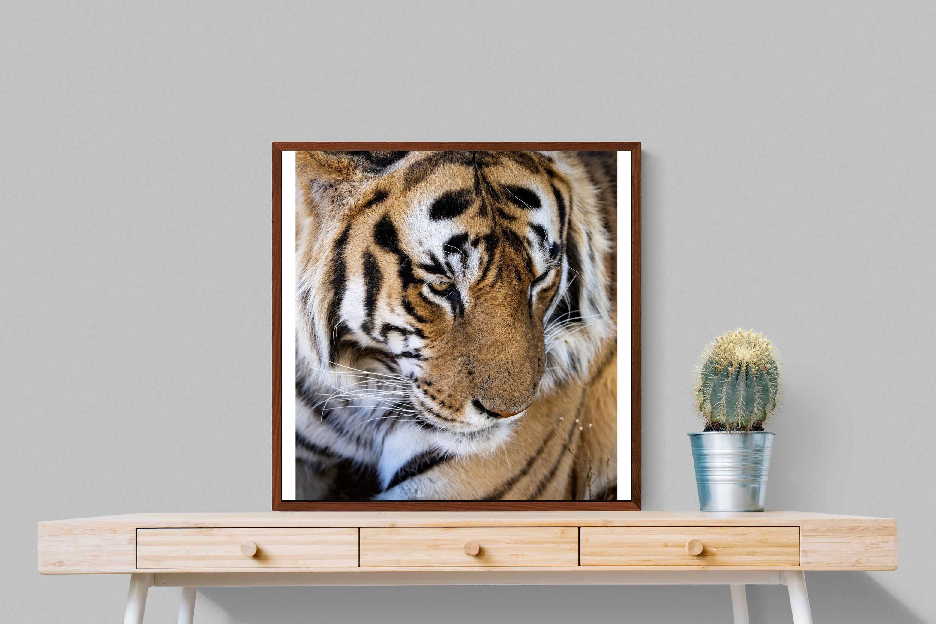 Pixalot Tiger Portrait