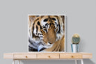 Pixalot Tiger Portrait
