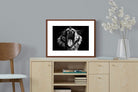 Pixalot ® Tiger Roar