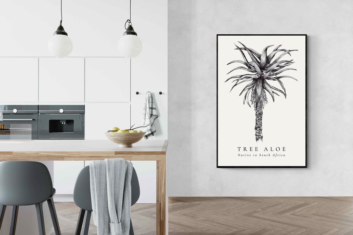 Pixalot ® Tree Aloe Illustration