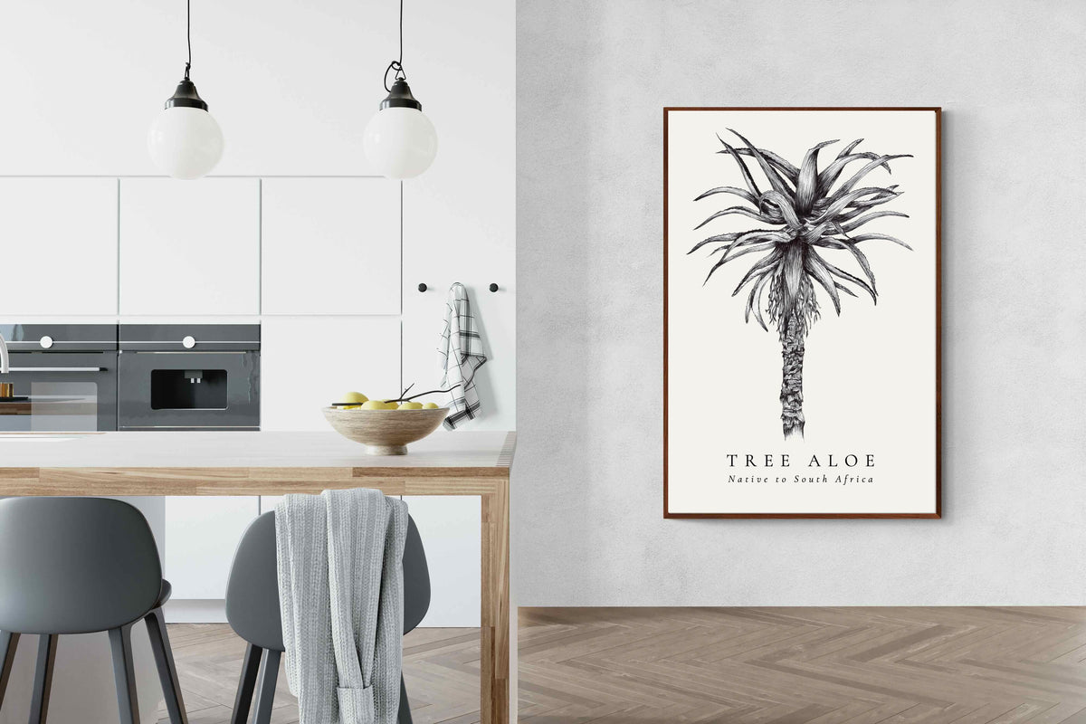 Pixalot ® Tree Aloe Illustration