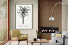 Pixalot ® Tree Aloe Illustration