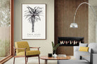 Pixalot ® Tree Aloe Illustration