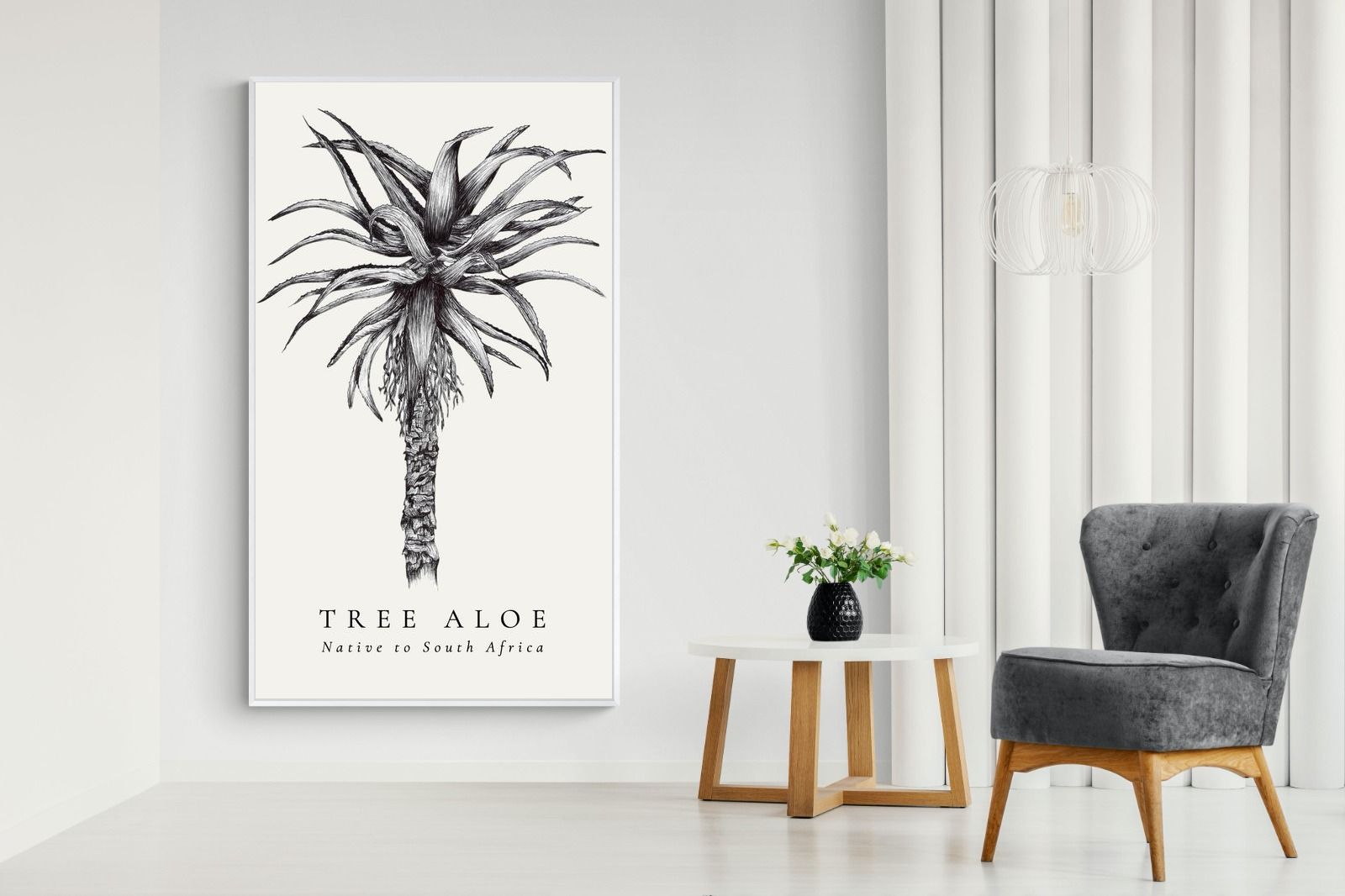 Pixalot ® Tree Aloe Illustration