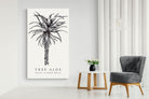 Pixalot ® Tree Aloe Illustration