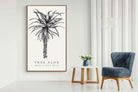 Pixalot ® Tree Aloe Illustration