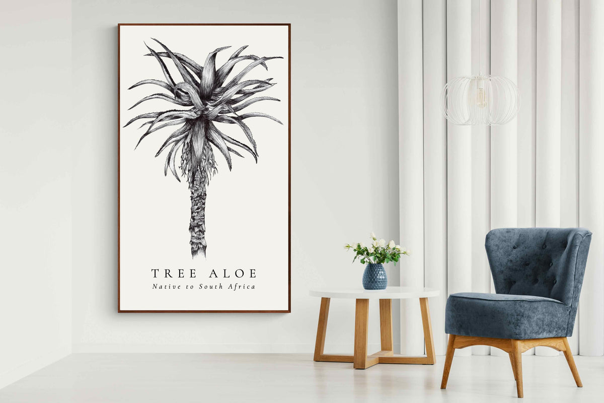 Pixalot ® Tree Aloe Illustration