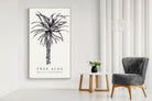 Pixalot ® Tree Aloe Illustration