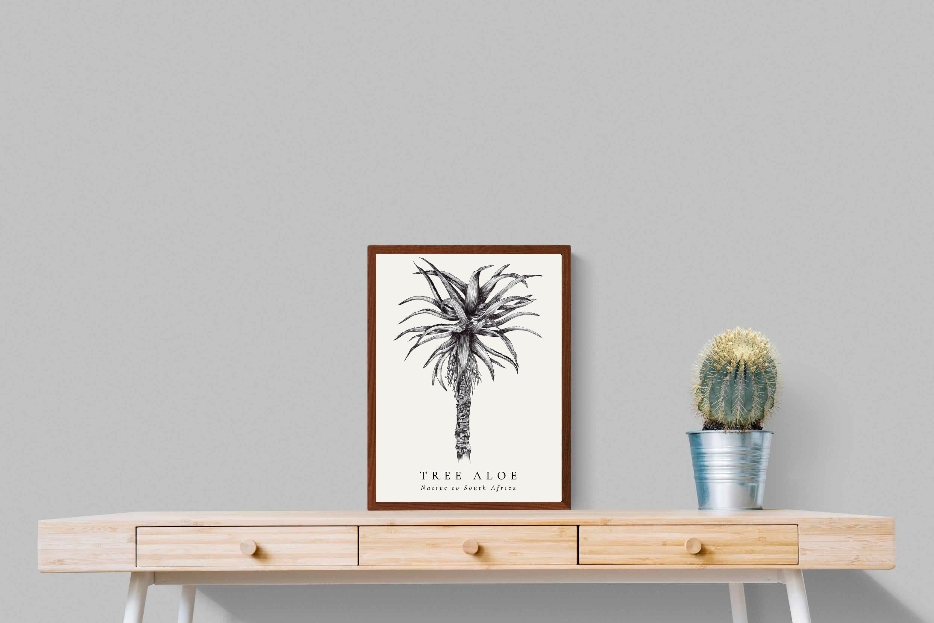 Pixalot ® Tree Aloe Illustration