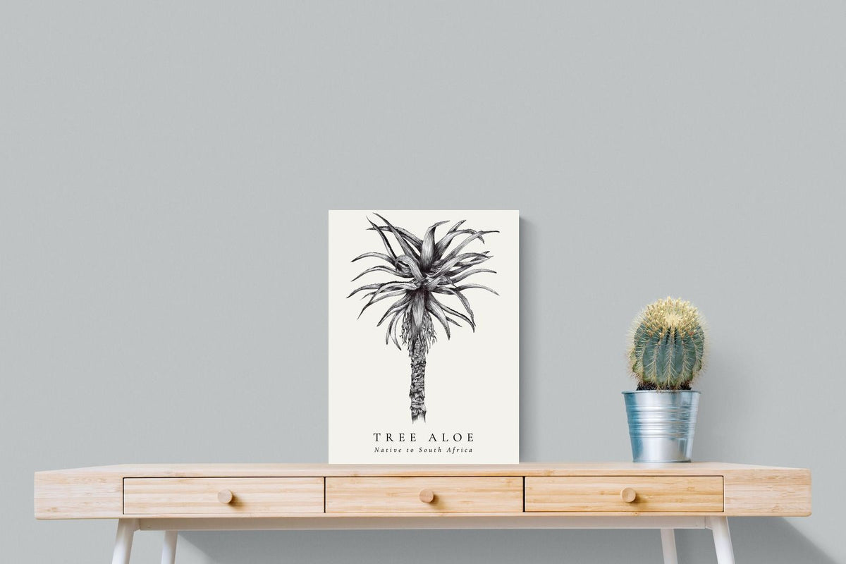 Pixalot ® Tree Aloe Illustration