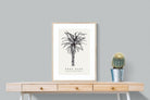 Pixalot ® Tree Aloe Illustration