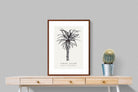 Pixalot ® Tree Aloe Illustration