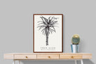 Pixalot ® Tree Aloe Illustration