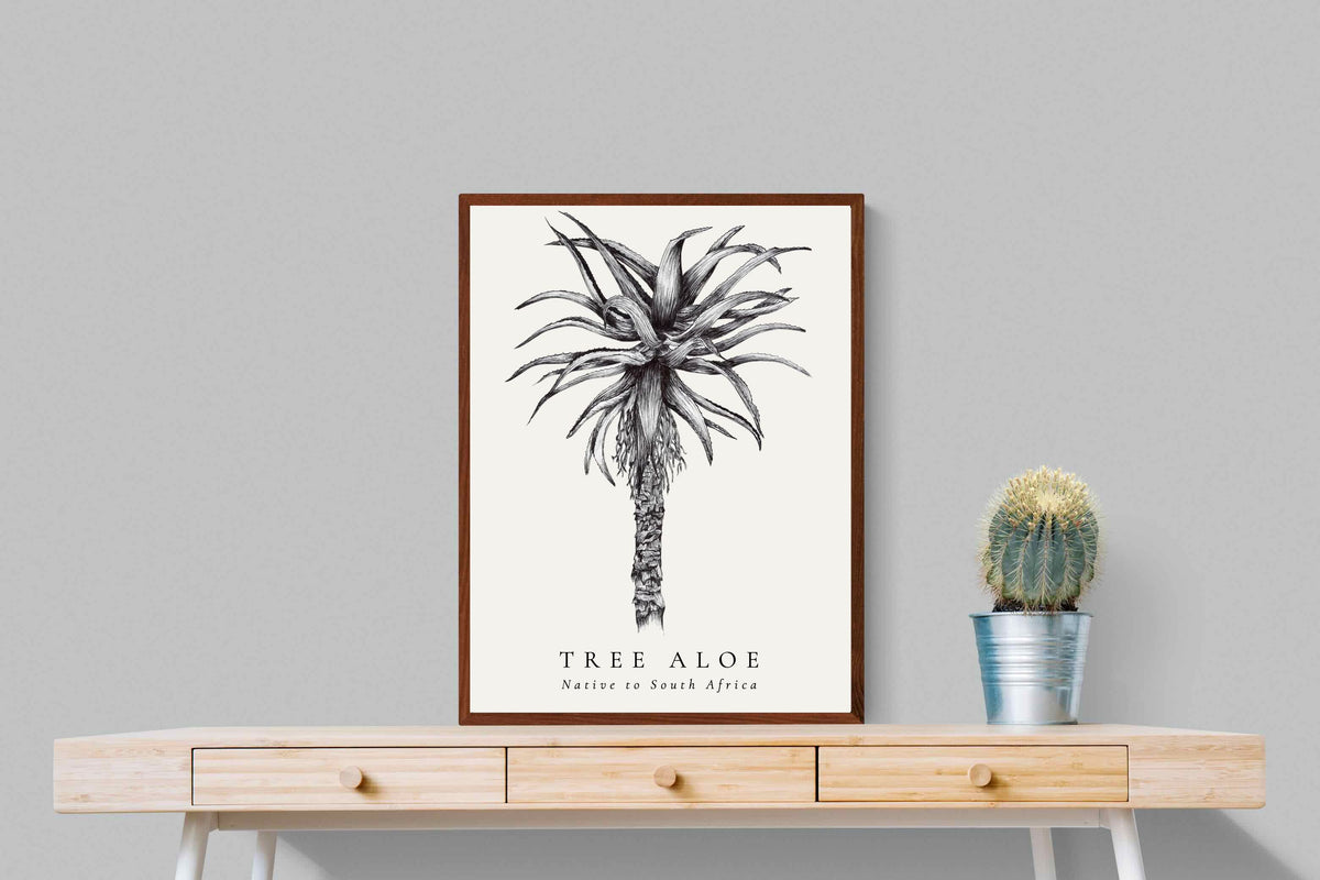 Pixalot ® Tree Aloe Illustration