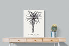 Pixalot ® Tree Aloe Illustration