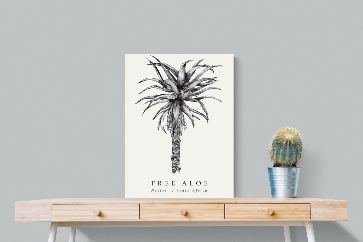Pixalot ® Tree Aloe Illustration